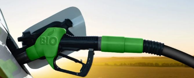 Azione Collettiva - Cartello dei biocarburanti