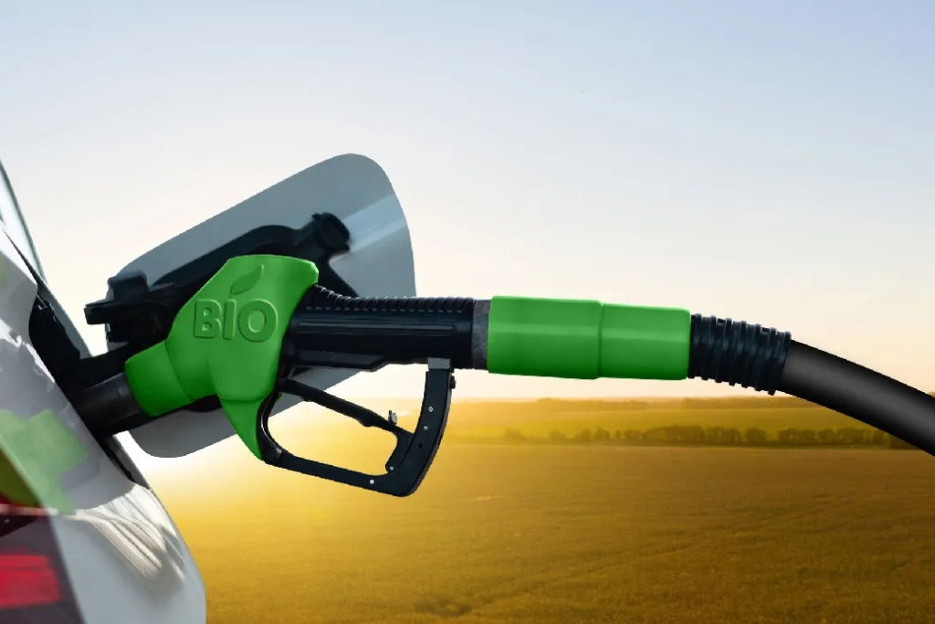 Azione Collettiva - Cartello dei biocarburanti
