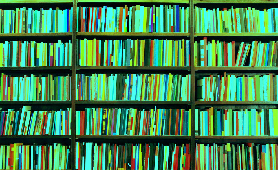 Fundraising per le Biblioteche: al via un nuovo progetto di formazione