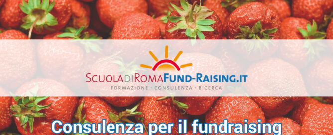 consulenza-fundraising