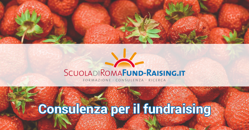 Consulenza per il fundraising: notizie di giugno 2017