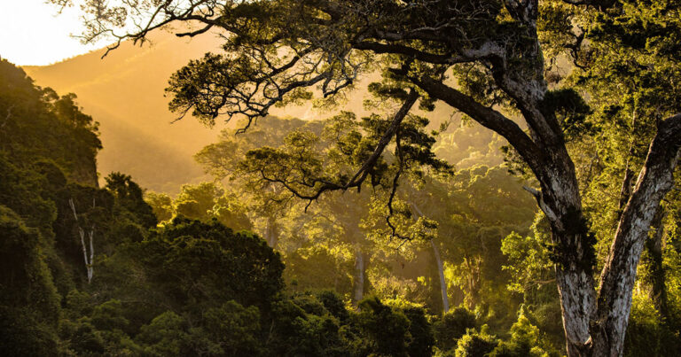 Occorre salvare la biodiversità del non profit italiano