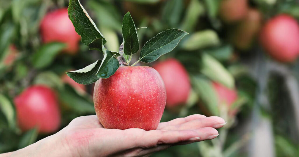 Autumn fundraising class: la nostra proposta formativa per l’autunno