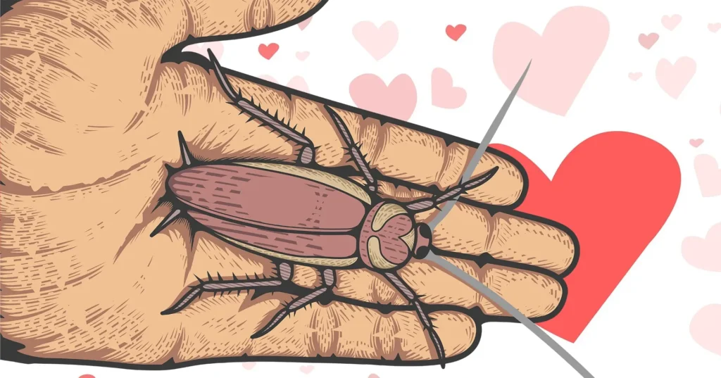 Per San Valentino: dai il nome del tuo ex ad una blatta!
